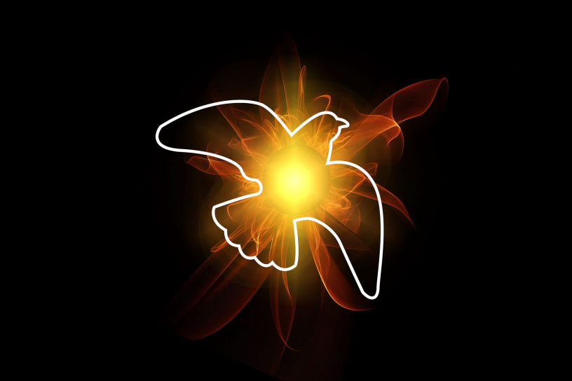 Website Designs at UrZeal.com